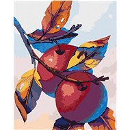 Apples, 40×50 cm, stretched canvas on frame - Painting by Numbers