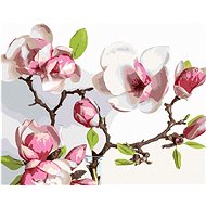 Spring blooming magnolias, 40×50 cm, stretched canvas on frame - Painting by Numbers