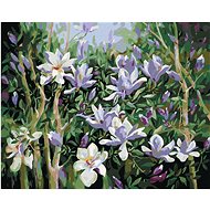Spring Magnolias, 80×100 cm, stretched canvas on frame - Painting by Numbers