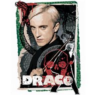 Card Draco Malfoy (Harry Potter), 40×50 cm, without frame and without canvas - Painting by Numbers