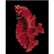 Beautiful red fish, 40×50 cm, stretched canvas on frame - Painting by Numbers