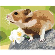 Hamster on stone, 40×50 cm, stretched canvas on frame - Painting by Numbers