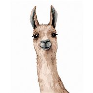 Llama on white background, 80×100 cm, without frame and without canvas shut off - Painting by Numbers