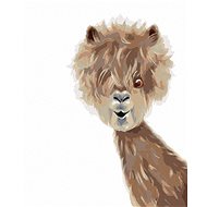 Lama, 40×50 cm, stretched canvas on frame - Painting by Numbers