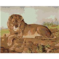 Lion on the Savannah, 80×100 cm, stretched canvas on frame - Painting by Numbers