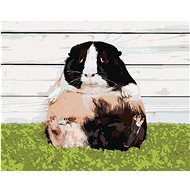 Lazy guinea pig, 40×50 cm, without frame and without canvas shut off - Painting by Numbers