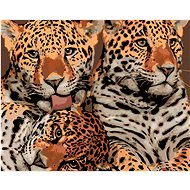 Mother jaguar and two cubs, 40×50 cm, stretched canvas on frame - Painting by Numbers