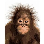 Young Orangutan, 40×50 cm, without frame and without canvas shut off - Painting by Numbers