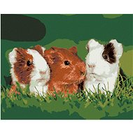 Guinea Pigs in the Grass, 40×50 cm, without frame and without canvas shut off - Painting by Numbers