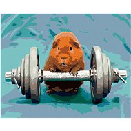 Guinea pig in the gym, 80×100 cm, without frame and without turning off the canvas - Painting by Numbers