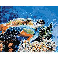 Sea Turtle, 40×50 cm, stretched canvas on frame - Painting by Numbers
