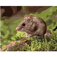 Mouse resting in a forest, 40×50 cm, without frame and without canvas shut off - Painting by Numbers