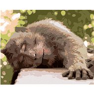 Resting Monkey, 40×50 cm, stretched canvas on frame - Painting by Numbers