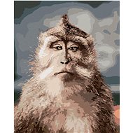 Monkey with a serious face, 40×50 cm, stretched canvas on frame - Painting by Numbers