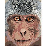 Monkeys close up, 40×50 cm, without frame and without canvas shut off - Painting by Numbers