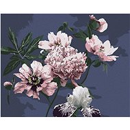 Peonies on black background, 40×50 cm, stretched canvas on frame - Painting by Numbers