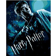 Poster Harry Potter and the Half-Blood Prince, 40×50 cm, stretched canvas on frame - Painting by Numbers