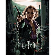 Poster Harry Potter and Hermione, 40×50 cm, without frame and without canvas - Painting by Numbers