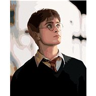Portrait of Harry Potter, 40×50 cm, stretched canvas on frame - Painting by Numbers