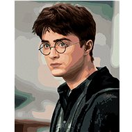 Portrait of Harry Potter gazing, 40×50 cm, without frame and without turning off the canvas - Painting by Numbers