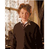 Ron in the classroom (Harry Potter), 40×50 cm, stretched canvas on frame - Painting by Numbers