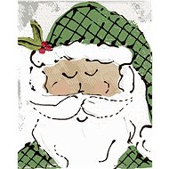 Santa with a green hat (Haley Bush), 40×50 cm, stretched canvas on frame - Painting by Numbers