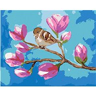 Sitting sparrow on a branch with magnolia flowers, 40×50 cm, stretched canvas on frame - Painting by Numbers