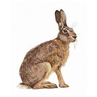 Sedící zajíc, 40×50 cm, bez rámu a bez vypnutí plátna - Painting by Numbers