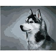 Siberian Husky, 40×50 cm, without frame and without canvas shut off - Painting by Numbers