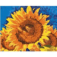 Sunflowers on blue background, 40×50 cm, off canvas on frame - Painting by Numbers