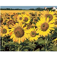 Sunflowers in the field 2, 40×50 cm, without frame and without canvas shut off - Painting by Numbers