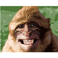Laughing Monkey, 80×100 cm, without frame and without canvas shut off - Painting by Numbers