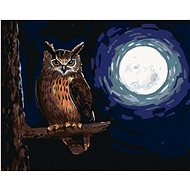 Owl and Moonlight, 40×50 cm, stretched canvas on frame - Painting by Numbers