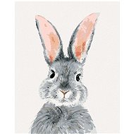 Grey Rabbit, 40×50 cm, without frame and without canvas shut off - Painting by Numbers