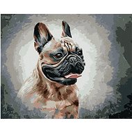 Happy French Bulldog, 40×50 cm, stretched canvas on frame - Painting by Numbers