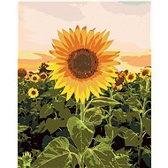 Amazing Sunflower, 40×50 cm, stretched canvas on frame - Painting by Numbers
