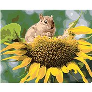 Squirrel at the Sunflower, 80×100 cm, without frame and without canvas shut off - Painting by Numbers