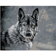 Wolf on grey background, 80×100 cm, without frame and without canvas shut off - Painting by Numbers