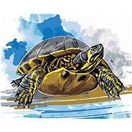 Water turtle, 40×50 cm, stretched canvas on frame - Painting by Numbers