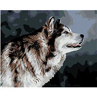 Looking Husky, 40×50 cm, stretched canvas on frame - Painting by Numbers