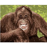 Laughing Orangutan, 80×100 cm, stretched canvas on frame - Painting by Numbers