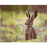 Hare in the Grass, 40×50 cm, stretched canvas on frame - Painting by Numbers