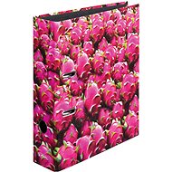 HERLITZ A4 80mm Laminated Pitaya - Arch Folder