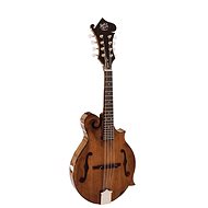 Barnes & Mullins BM650 - Mandolin