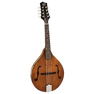 Barnes & Mullins BM600E - Mandolin