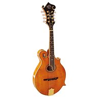 Barnes & Mullins BM700 - Mandolin