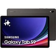 Samsung Galaxy Tab S9 5G (12/256GB) Gray - Tablet