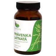 Andrographis paniculata 60 cps - Dietary Supplement