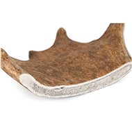 Hunting Dog Ducks antlers M - Fallow Antler Dog Chew