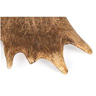 Hunting Dog Ducks antlers L - Fallow Antler Dog Chew
